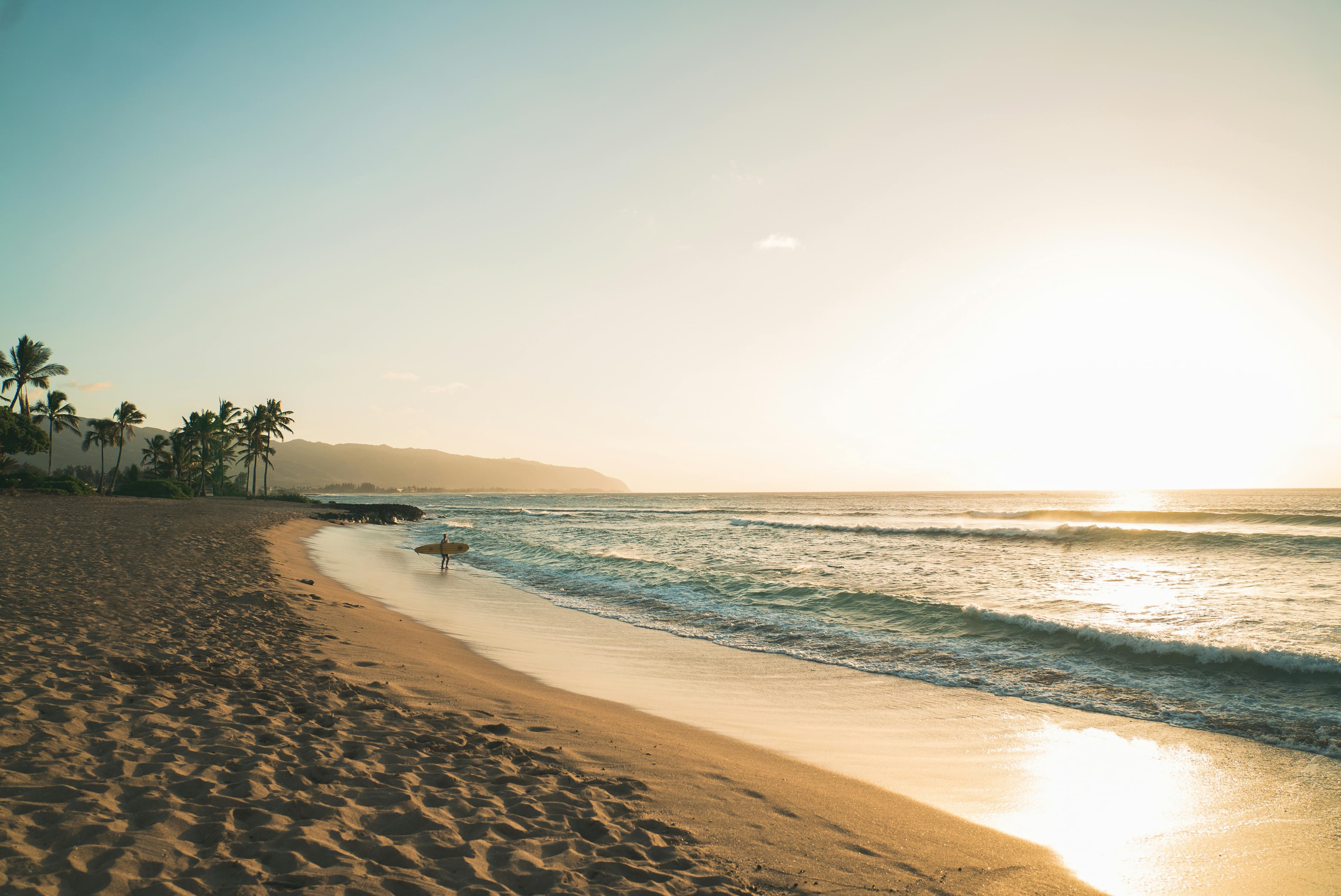 Beach Background